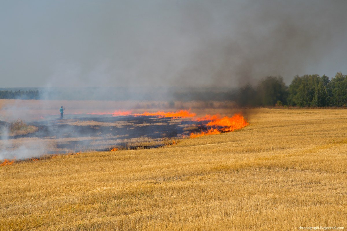Фото горящего поля